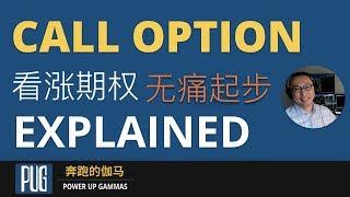 期权怎么玩 | 看涨期权无痛起步（走好进入期权市场的第一步）| The Ultimate Guide to Call Option