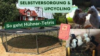 Selbstversorgung & Upcycling: Hühner-Tetris und mobiler Kükenstall aus altem Trampolin / Verlosung