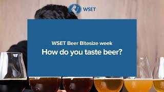 WSET Beer Bitesize - How do you taste Beer