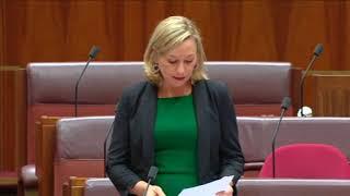 Labor/Greens Govt sign death knell of Oz Aviation: 30/11/21 (Senate)