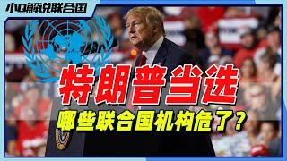 他回来又要退群了？大胆预测特朗普将退出的6个“群聊”丨小Q解读联合国