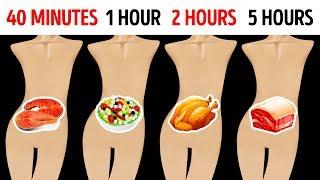 How Long Foods Stay In Your Stomach