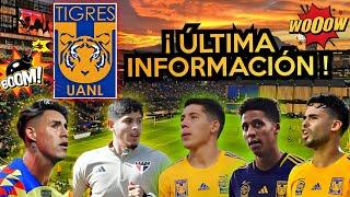 ÚLTIMAS NOTICIAS DE FICHAJES DE LOS TIGRES PARA EL CLAUSURA 2025 ALTAS BAJAS Y RUMORES DE LOS TIGRES