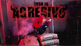 AGRESIVO - Toro LG (Video Oficial)