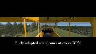 TSS Piper Cub Continental 65 FSX