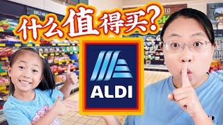 ALDI买菜攻略！21个食材推荐 6个中餐食谱：海鲜炒饭 酸菜白肉 沙茶炒面 凉拌牛肉 牛肉煎包 鸡肉水饺 What to Buy at ALDI