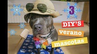 COMO REFRESCAR A TU PERRO EN VERANO |  3 TUTORIALES SUPER MEGA COOL