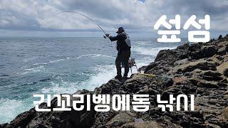 제주도 섶섬 긴꼬리벵에돔 낚시 원크릴 원벵에 폭풍입질 벵에돔이 바글바글 합니다