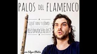 PALOS del FLAMENCO. ¿Qué son y cómo reconocerlos?