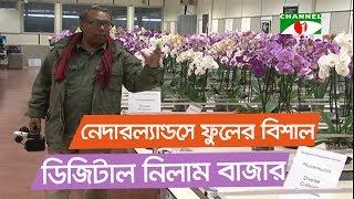 ফুল বাণিজ্যের বিশাল কেন্দ্র ফ্লোরা হল্যান্ড | Netherlands | Shykh Seraj | Channel i |