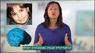 Difficulties in Learning - Visual Processing