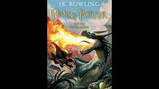 H. Potter and the goblet of fire 1/3