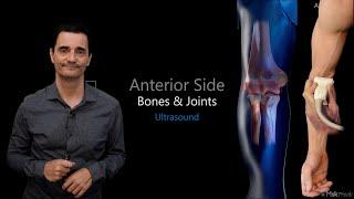 ULTRASOUND OF THE ELBOW  ANTERIOR SIDE  BONES AND JOINTS