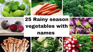 25 best Rainy season vegetables with names/mansoon vegetables in India🫑