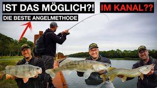 Angeln am Kanal | mit dieser METHODE fängst du BARSCH ZANDER und HECHT