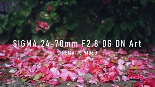 SIGMA 24-70mm F2.8 DG DN Art sony α7III  CINEMATIC VIDEO