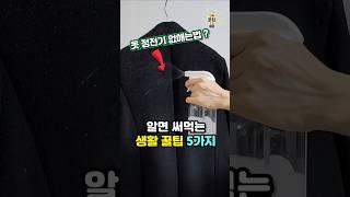 알면 평생 써먹는 생활 꿀팁 5가지 #살림 #꿀팁 #생활꿀팁