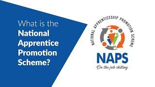 What is the National Apprentice Promotion | Alp Consulting | NAPS | NATS | Training