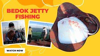 Bedok Jetty Singapore Fishing 2023 - MONSTER Stingray, Queenfish, Sagai, Selars!