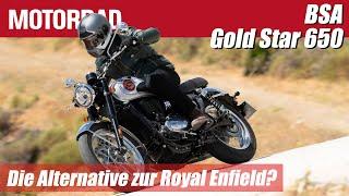 BSA Gold Star 650 im Test-Talk: die Alternative zur Royal Enfield?