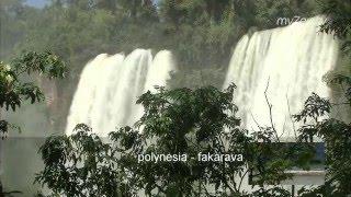 Красивое видео природы, без музыки, естественные звуки в качестве fullhd Beautiful video of nature