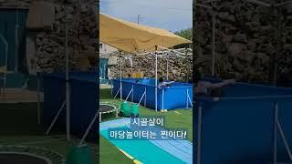 #시골마당놀이터#마당있는삶#시골라이프#남해#남해창선#이쁜시골#귀촌라이프