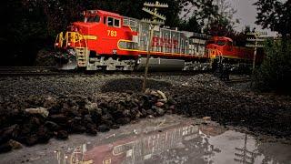 Mixed long freight train, #gscale #gartenbahn #modeltrains #gardentrains