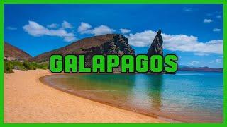 Whispers of the Galápagos: A Symphony of Nature