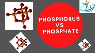 Phosphorus vs Phosphate