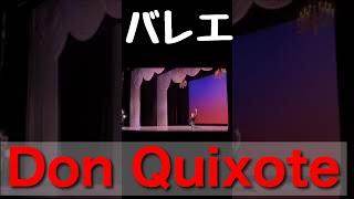 Don Quixote Basil 【やまちゃん】 #shorts