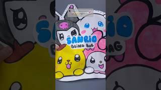 Sanrio Blind Bag!#papersquishy #blindbag #asmr #youtubeshorts #squishy #diy #unboxing