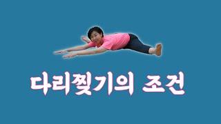 [ 마름모코어 시즌 2-32 ] 다리를 찢으려면 모든 몸에 굳어 있는 곳이 없어야 합니다 / 대흉근과 배, 치골의 역할