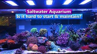 Saltwater Aquarium - How hard is it to start and maintain a saltwater fish tank?