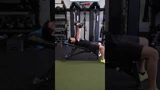 SOTA Dumbbell Incline Chest Press