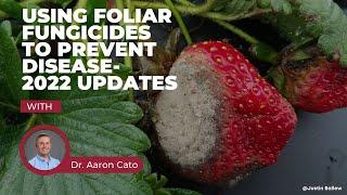 Strawberry Fruit Rot – Using foliar fungicides to prevent disease – 2022 Updates