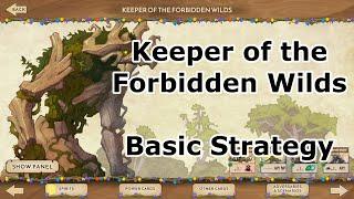 Spirit Island Basic Strategy - Keeper