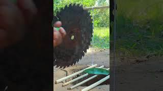 creative diy bird trap using cutters & deep hole #shorts