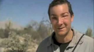 Bear Grylls Allergic to Bees