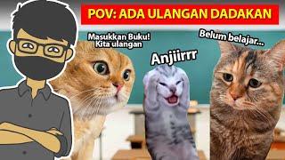 10 VIDEO KUCING PALING LUCU DAN NGAKAK