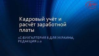 Кадровый учёт и расчёт заработной платы в 1С:Бухгалтерия 8, редакция 2.0