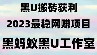 USDT搬砖教程，USDT搬砖赚钱！黑U搬砖赚钱，2024暴利网赚项目汇总|2024网赚项目|，搬砖套利项目,这是你见过赚钱最快的方法#youtube賺錢。#黑usdt靠谱吗，#黑U是真的吗？