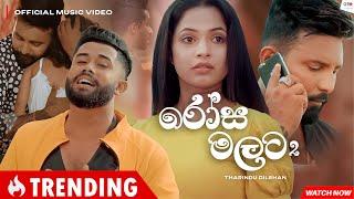 Rosamalata 2  (රෝස මලට 2) - Tharidu Dilshan | Official Music Video 2023