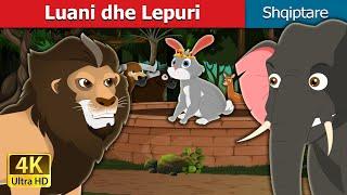 Luani dhe Lepuri | The Lion and the Hare Story in Albanian | @AlbanianFairyTales