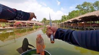  Cần câu mini trốn vợ giá rẻ mãi đỉnh, solo hồ câu cá giải trí 40k Sài Gòn | DUY FISHING