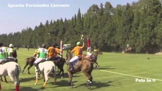 HPA Polo Rules 05/5 Penalties in English Art 39 and 40
