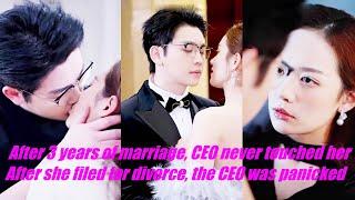 After 3 years of marriage, CEO never touched her. After she filed for divorce, the CEO was panicked