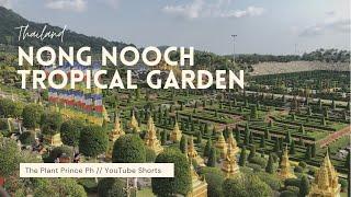 French Garden at Nong Nooch Tropical Garden #Shorts