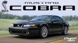 I Bought my High School Dream Car - 2003 Ford Mustang SVT Terminator Cobra Review