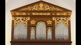 XAVER VARNUS IN CONCERT: VIVALDI'S "STORM" ON THE DEBRECEN GREAT CHURCH ORGAN