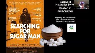 Searching for Sugar, Man - Backyard Naturalist Lecture Series